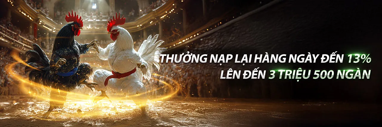 Hình ảnh chính về cá cược thể thao winwin khuyến mãi